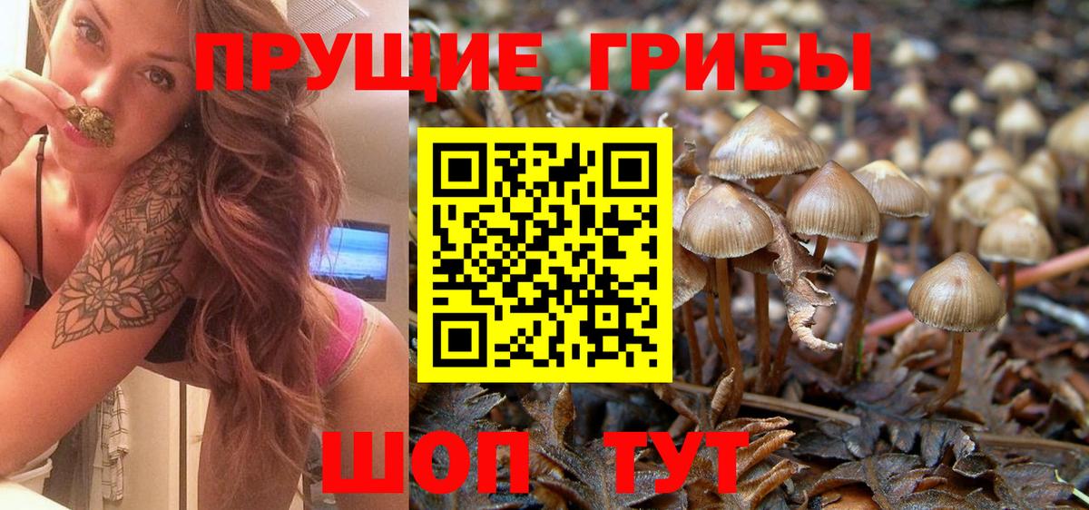 Сыктывкар  как найти закладки  Вход с VPN  Псилоцибиновые грибы ЛСД 